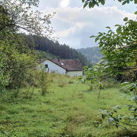 Haus Goldfuss *