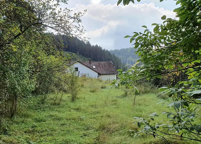 Haus Goldfuss *