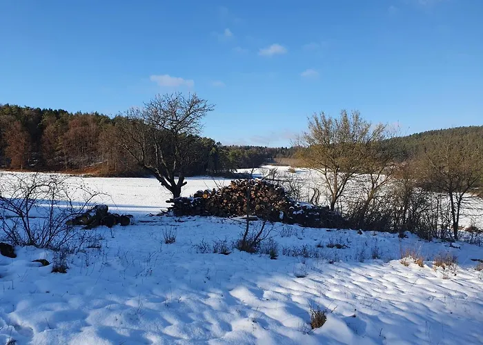 Haus Goldfuss 公寓 *