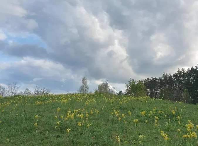 Haus Goldfuss *